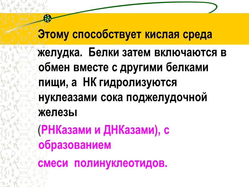 Этому способствует кислая среда    желудка.  Белки затем включаются в обмен